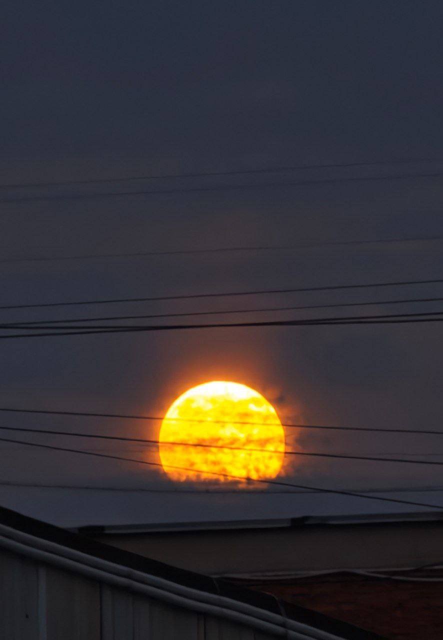 «Бобровая» суперлуна взошла над российскими городами «Бобровая» суперлуна взошла над российскими городами
