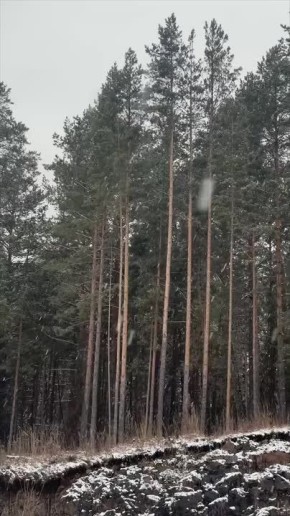 Завтра +1 днем и небольшой снег