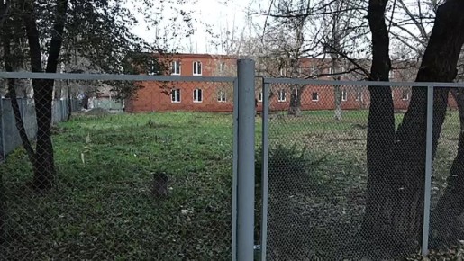 ДЕТСКИЙ САД VS ГОСТИНИЦА: БИТВА ЗА ЗДАНИЕ В КРАСНОЯРСКЕ