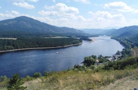 Икра северной нельмы отправилась на инкубацию для восстановления популяции