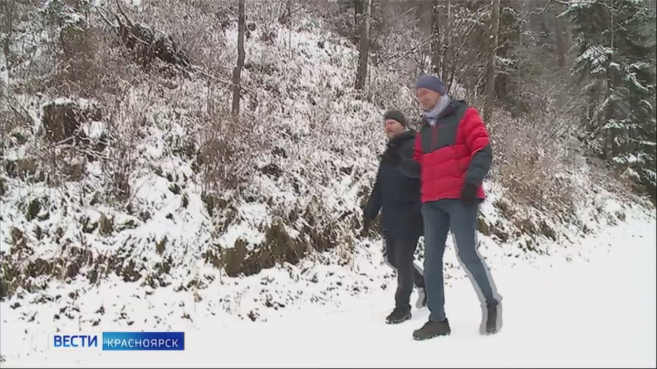 На Столбах этой осенью туристы всё чаще встречают одинокого глухаря
