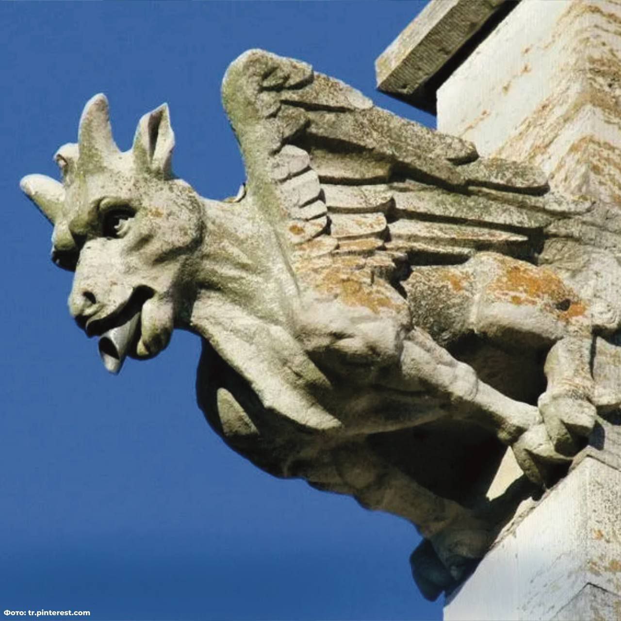 #этоИнтересно. Изначально в готической архитектуре элементы, изображённые на фото, были сугубо практичным инженерным решением, остроумными «водосточными трубами», отводившими дождевую воду от стен и фундаментов #этоИнтересно. Изначально в готической архитектуре элементы, изображённые на фото, были сугубо практичным инженерным решением, остроумными «водосточными трубами», отводившими дождевую воду от стен и фундаментов