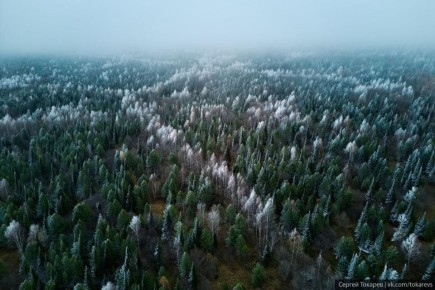 Дорога «Саяны» - региональный дублёр федеральной трассы Р257 «Енисей»