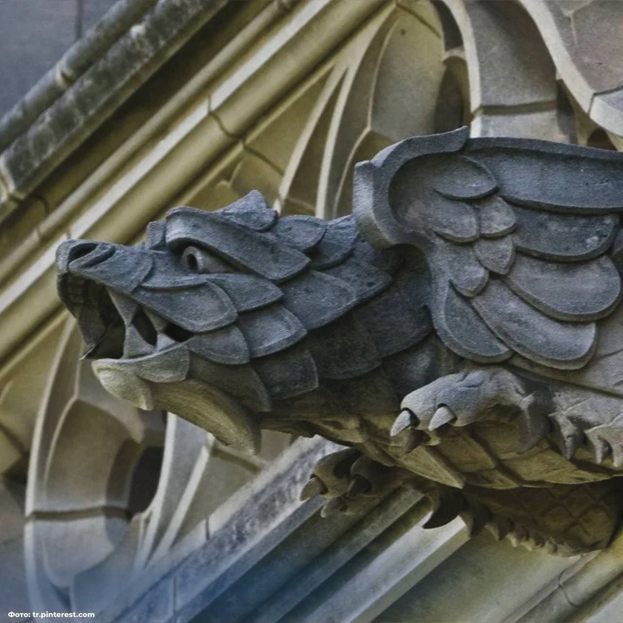 #этоИнтересно. Изначально в готической архитектуре элементы, изображённые на фото, были сугубо практичным инженерным решением, остроумными «водосточными трубами», отводившими дождевую воду от стен и фундаментов #этоИнтересно. Изначально в готической архитектуре элементы, изображённые на фото, были сугубо практичным инженерным решением, остроумными «водосточными трубами», отводившими дождевую воду от стен и фундаментов