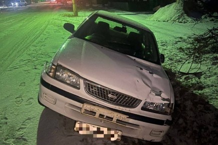 В Красноярском крае водитель иномарки сбил двух детей на пешеходном переходе