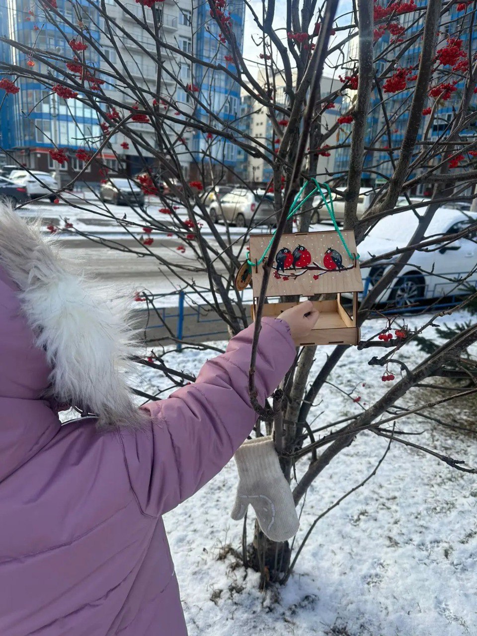 На Ярыгинской набережной появились яркие кормушки для птиц На Ярыгинской набережной появились яркие кормушки для птиц