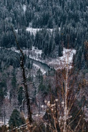 Базайская видовка, Торгашинский хребет
