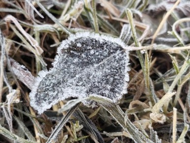 Новая рабочая неделя в Красноярске начнется с похолодания