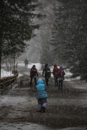 Прогулка на Столбы. Фото: Кристина Ускова ТВК