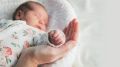 Малыш весом 800 граммов родился в Красноярске в октябре