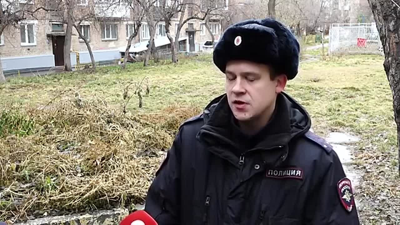 ДЕНЬ СОТРУДНИКА ОРГАНОВ ВНУТРЕННИХ ДЕЛ