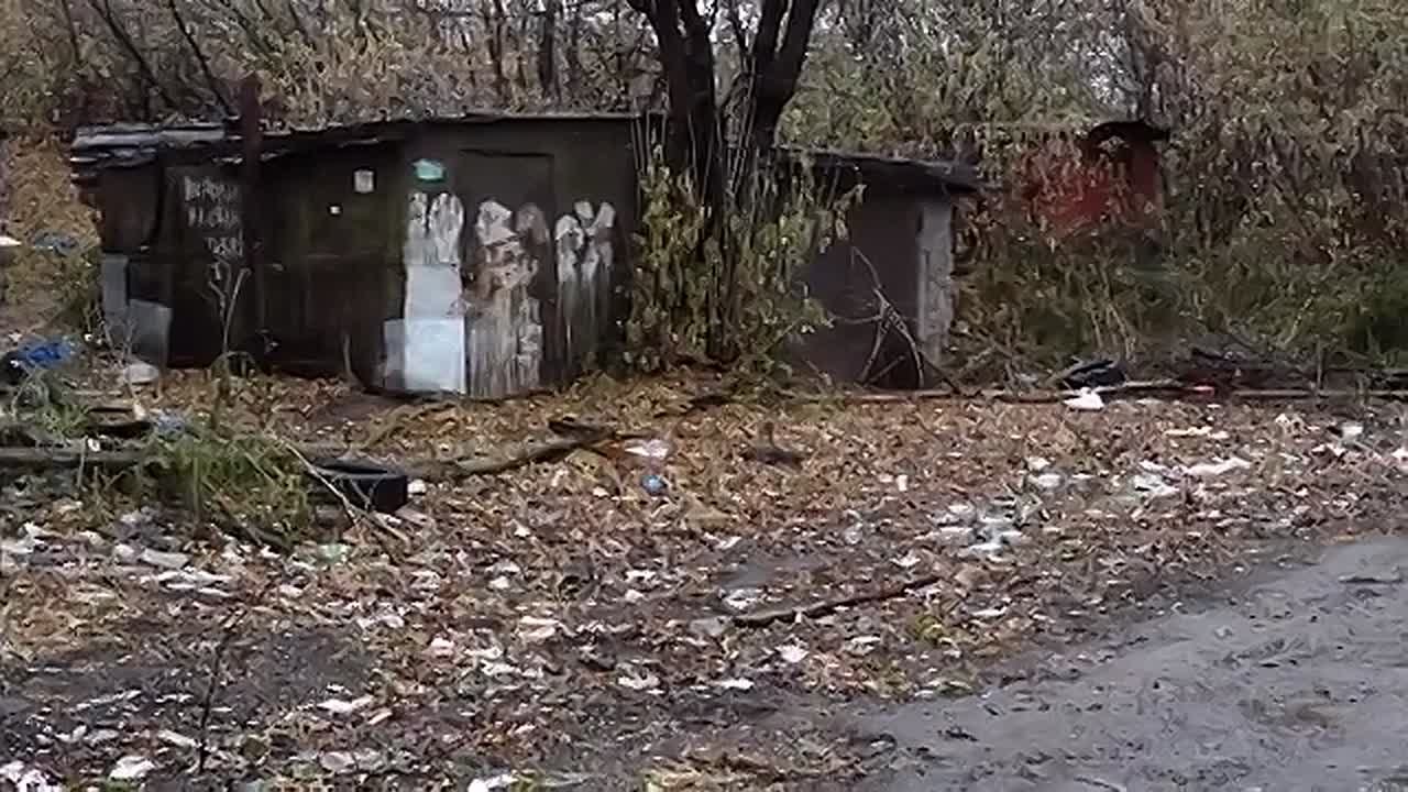 КРЫСИНАЯ БЕДА: ЖИТЕЛИ ОКРАИНЫ КРАСНОЯРСКА СТРАДАЮТ ОТ НАШЕСТВИЯ ГРЫЗУНОВ