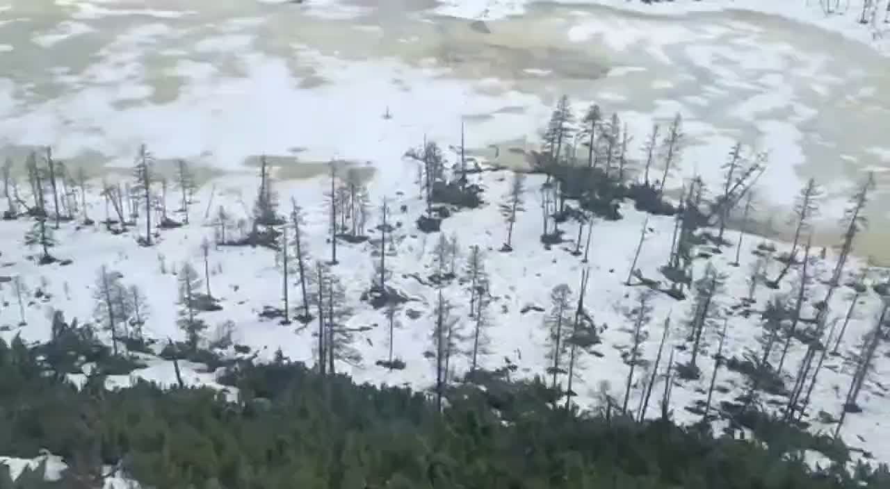 Мишка, ты почему не спишь?