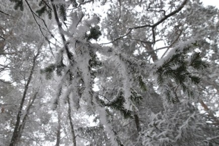 Доброе утро, друзья! Врываемся в зиму