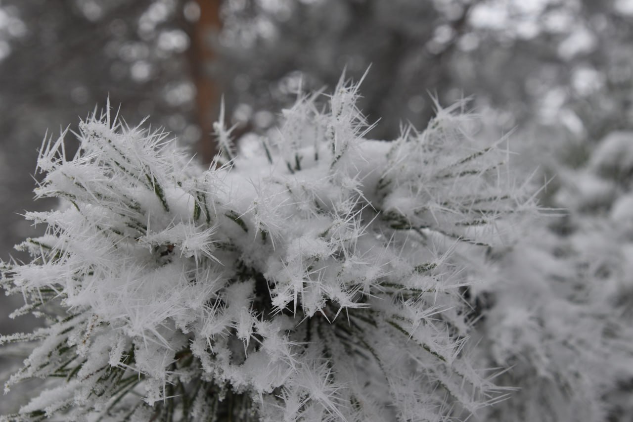 Доброе утро, друзья! Врываемся в зиму Доброе утро, друзья! Врываемся в зиму
