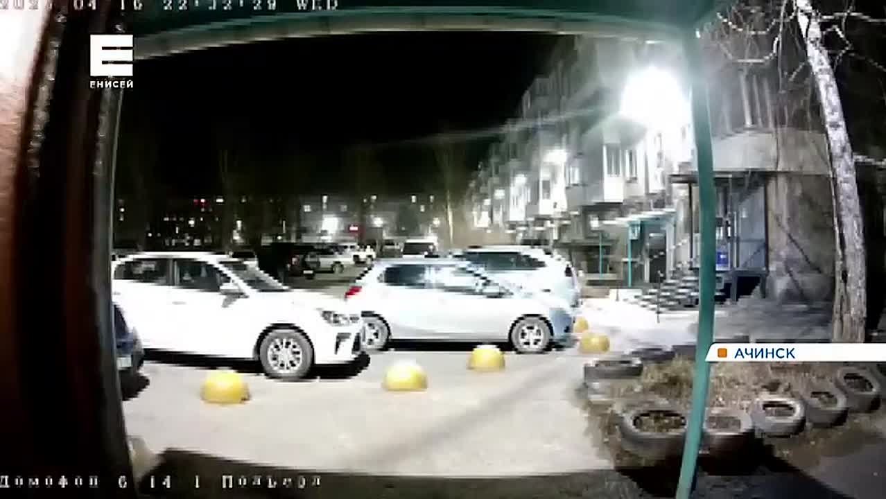 Жильцы ачинской пятиэтажки боятся выходить из квартир из-за соседских собак