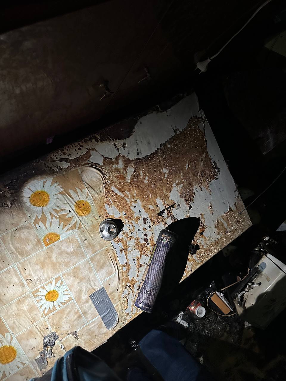 Прокуратура организовала проверку в связи с происшествием в Ачинске, в результате которого пострадала пожилая женщина Прокуратура организовала проверку в связи с происшествием в Ачинске, в результате которого пострадала пожилая женщина