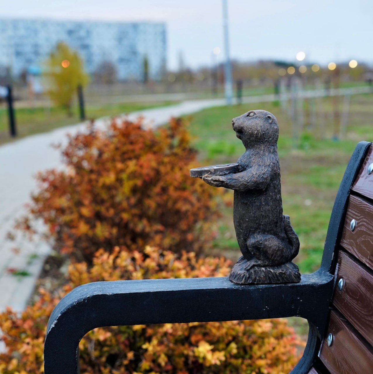 Знакомимся с волжскими сусликами, установленными к 70-летию города