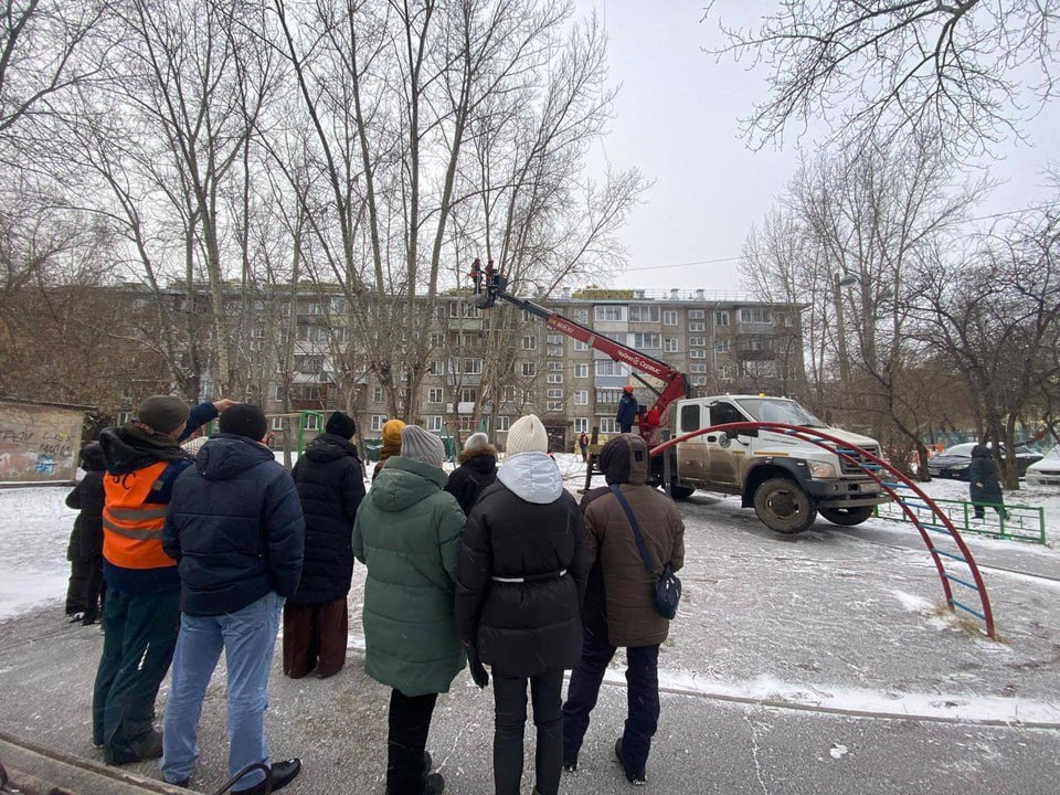 В Красноярске специалисты городского Управления дорог провели мастер-класс по обрезке деревьев для подрядчиков