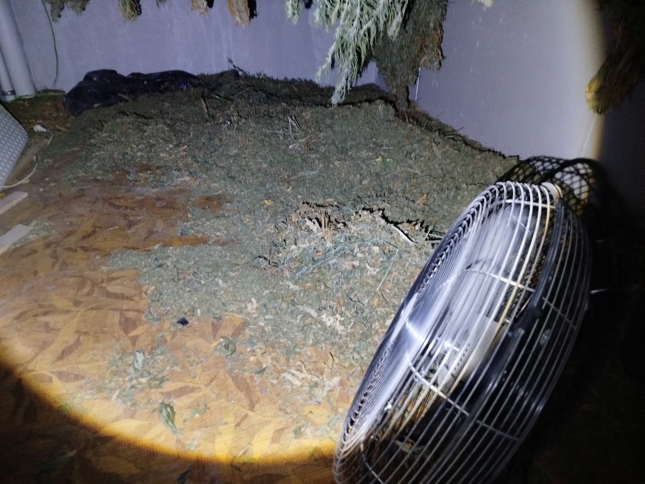 Житель Красноярского края, хранивший более 37 кг конопли и марихуаны, стал фигурантом уголовного дела Житель Красноярского края, хранивший более 37 кг конопли и марихуаны, стал фигурантом уголовного дела