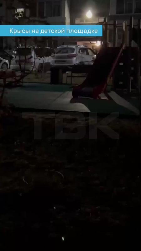 «Уже нет сил видеть чудищ в нашем дворе»