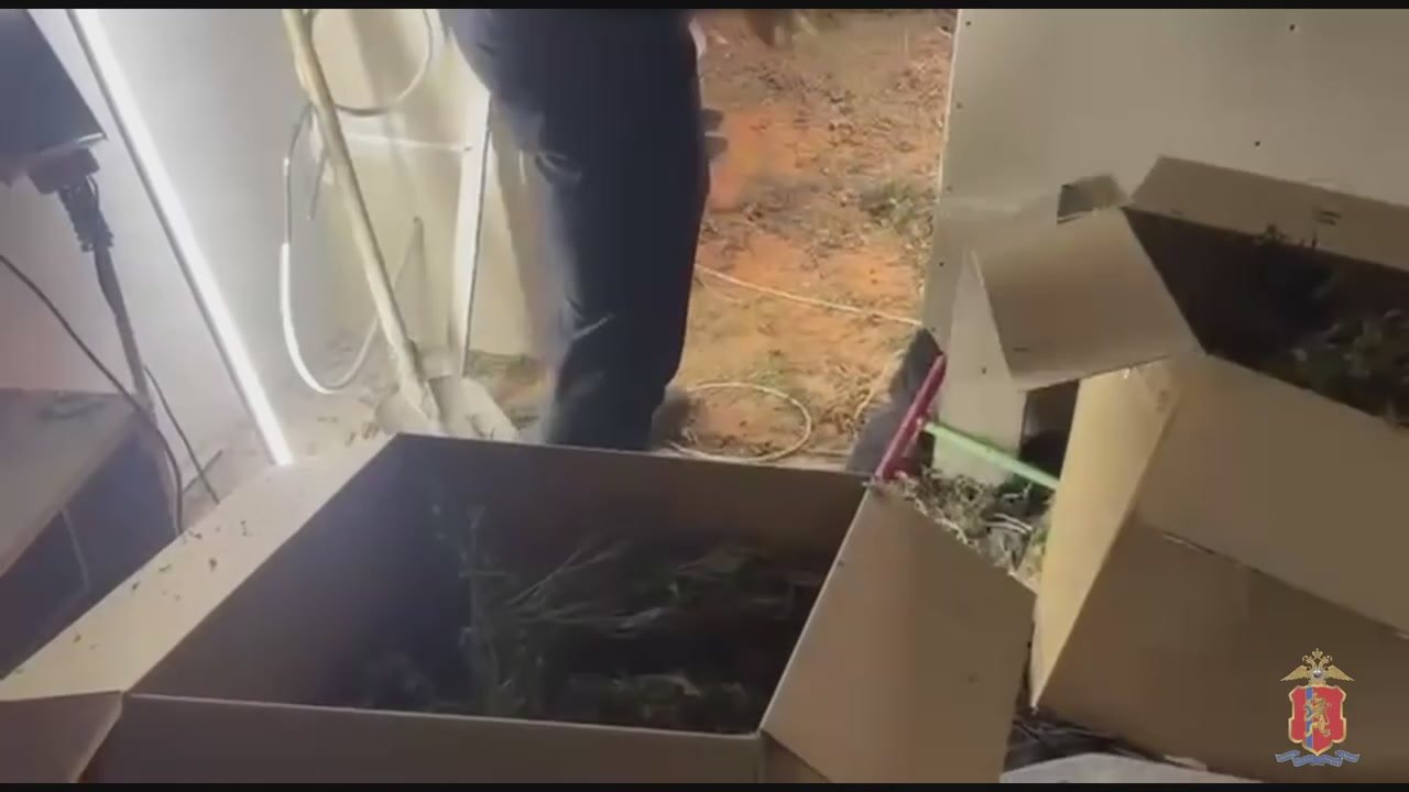 Житель Красноярского края, хранивший более 37 кг конопли и марихуаны, стал фигурантом уголовного дела