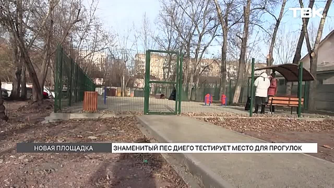 Площадка для выгула и тренировок собак появилась в Свердловском районе Красноярска