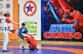 Красноярск отметит Всероссийский день самбо