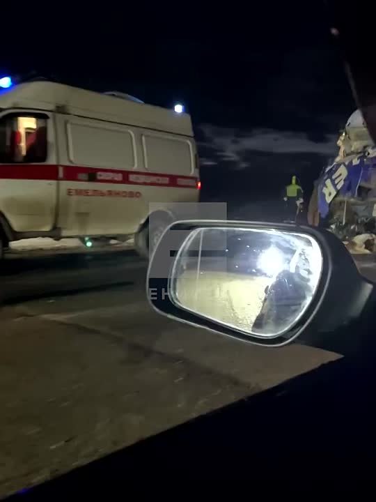 4 быка погибли в аварии с двумя фурами на трассе в крае