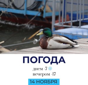 Погода на сегодня. @gornovosti