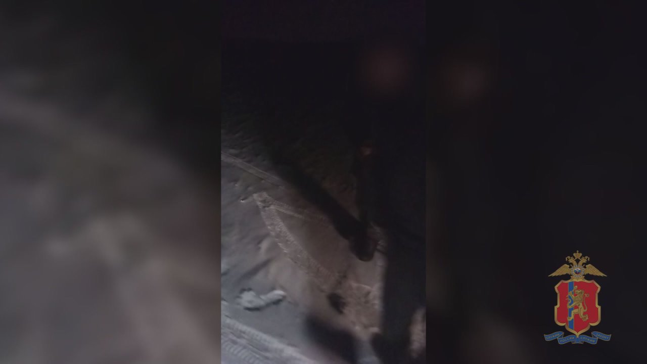 В Красноярске вынесен приговор организатору и участникам преступного сообщества