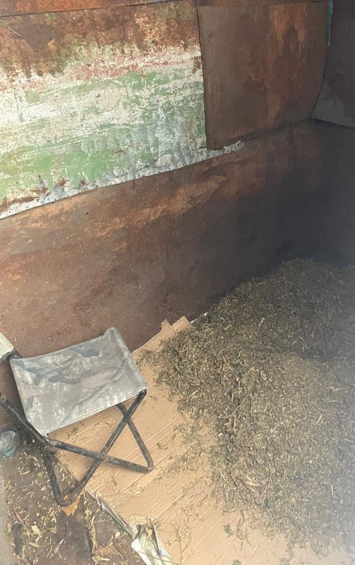 Балахтинские полицейские задержали мужчину, хранившего более 3 кг марихуаны Балахтинские полицейские задержали мужчину, хранившего более 3 кг марихуаны