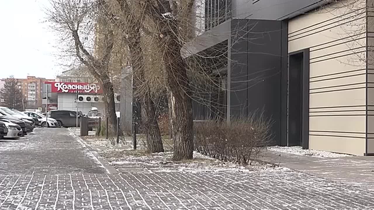 СОСЕДИ С ДЛИННЫМИ ХВОСТАМИ В ЦЕНТРЕ ГОРОДА