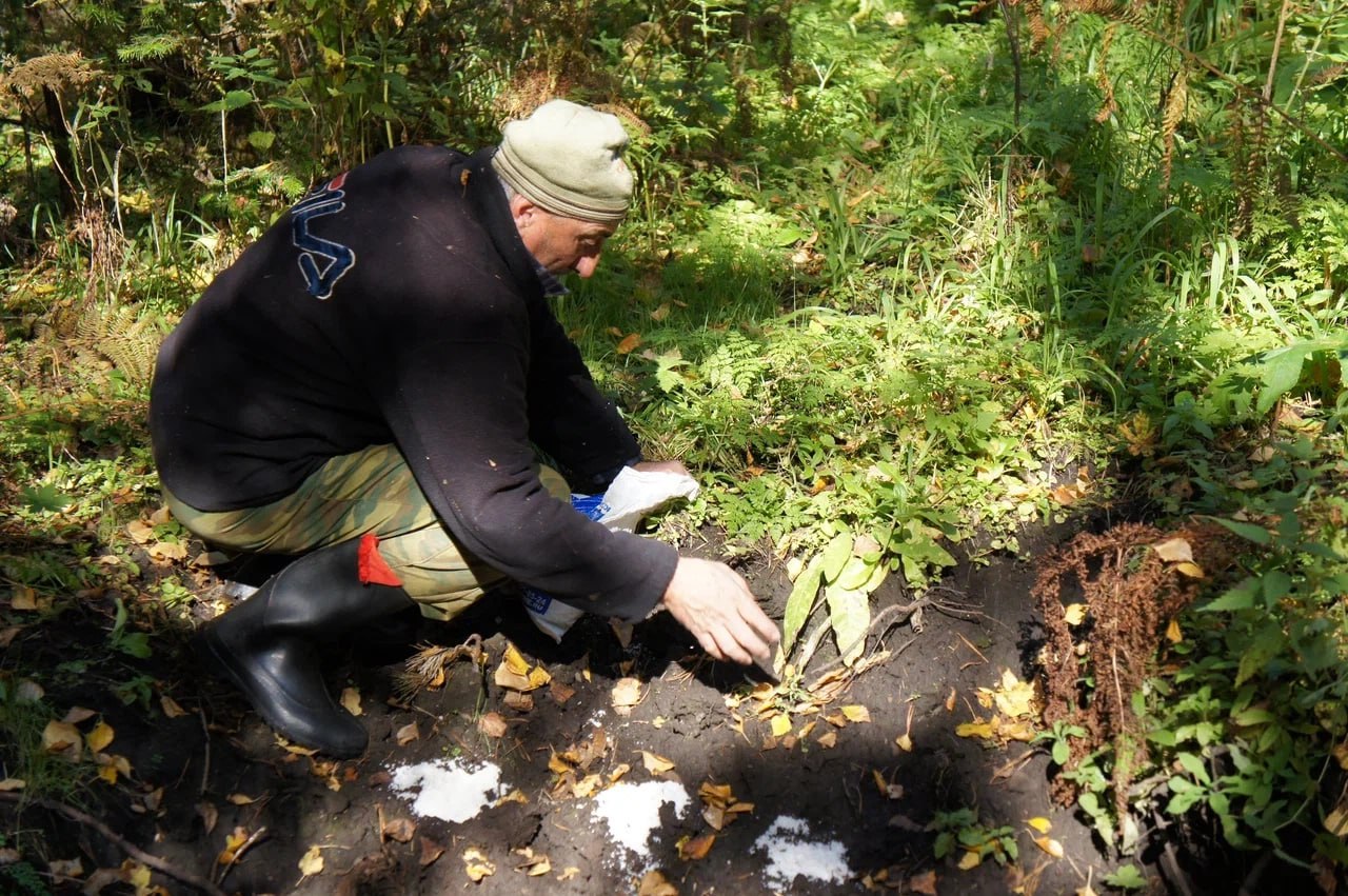 Современные психологи рекомендуют людям менять место работы каждые пять лет