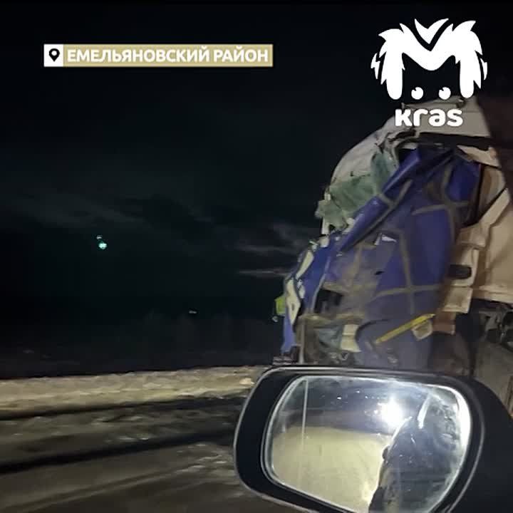 Грузовик протаранил фуру со скотом в Емельяновском районе