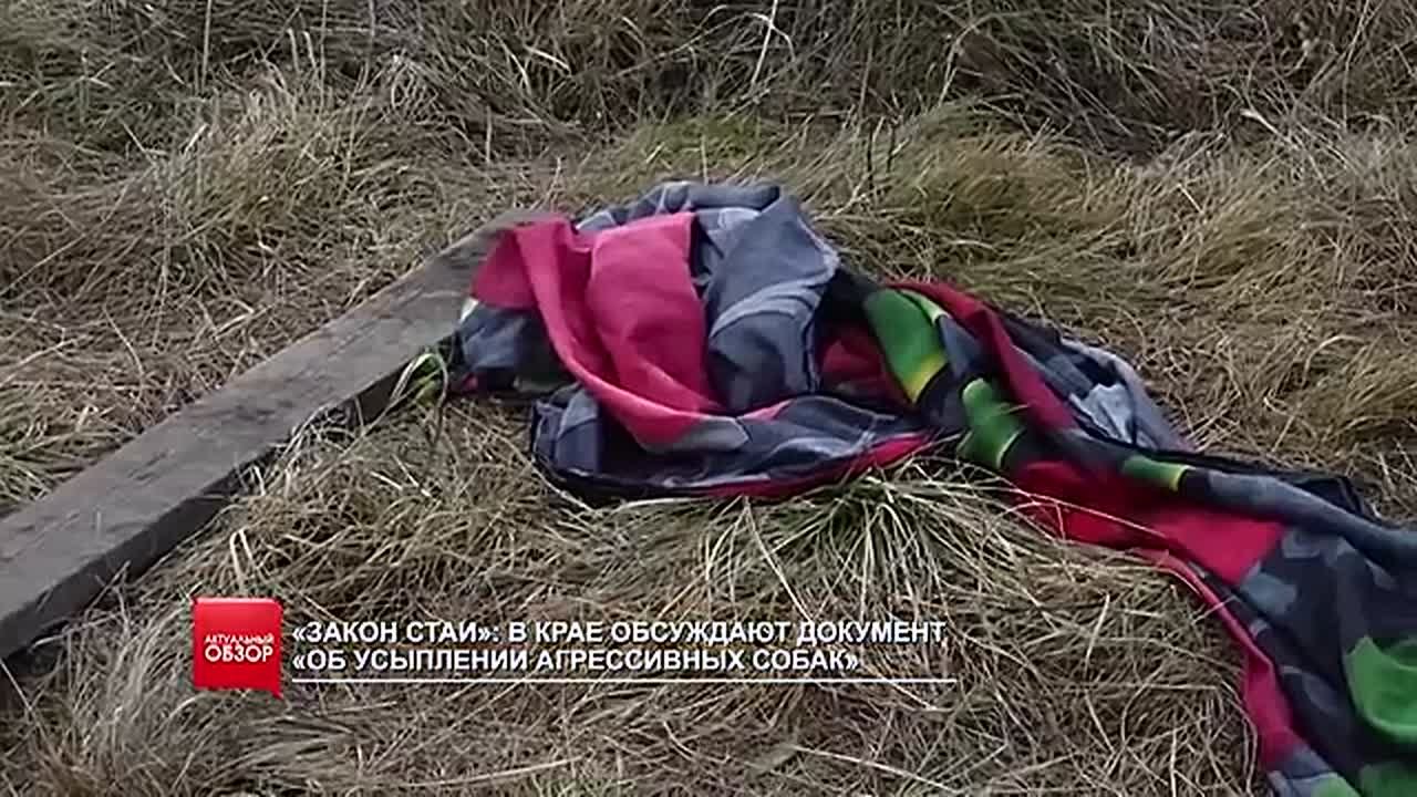 Рабочая неделя подходит к концу, а значит пора подводить её итоги: