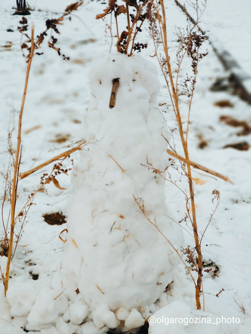 Снеговики в Красноярске на кадрах Ольги Рогозиной