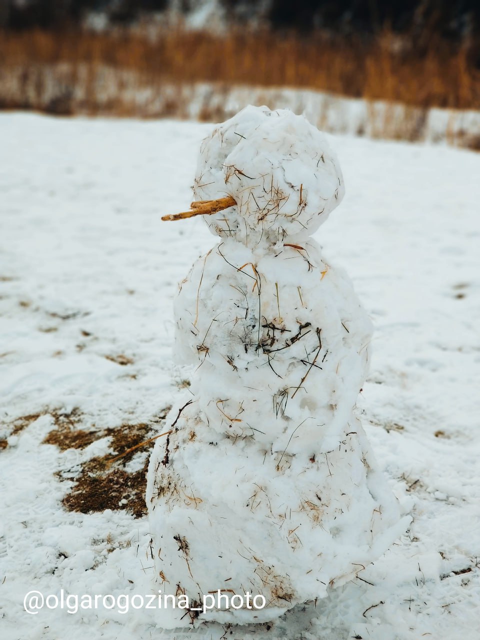 Снеговики в Красноярске на кадрах Ольги Рогозиной Снеговики в Красноярске на кадрах Ольги Рогозиной