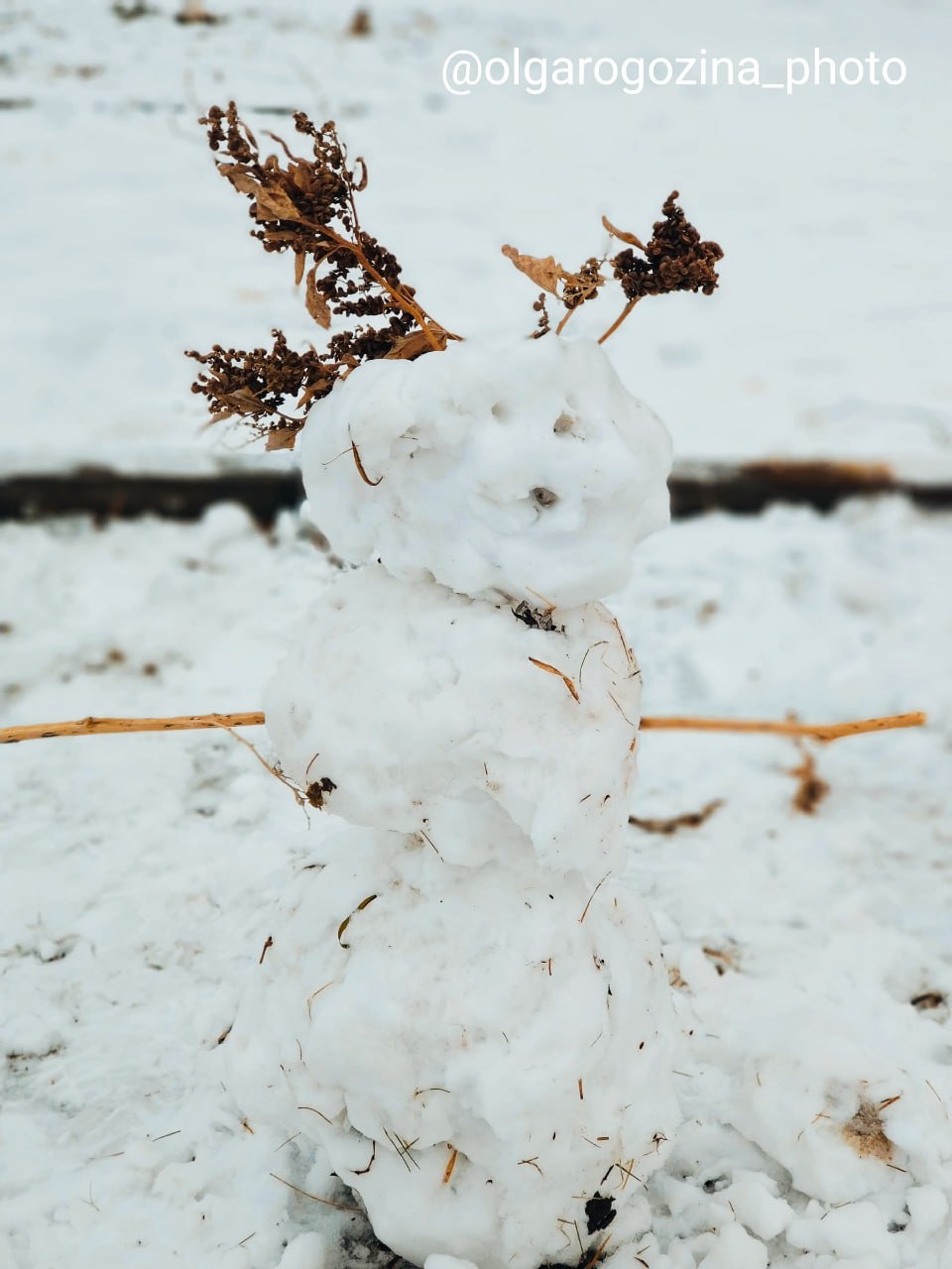 Снеговики в Красноярске на кадрах Ольги Рогозиной Снеговики в Красноярске на кадрах Ольги Рогозиной