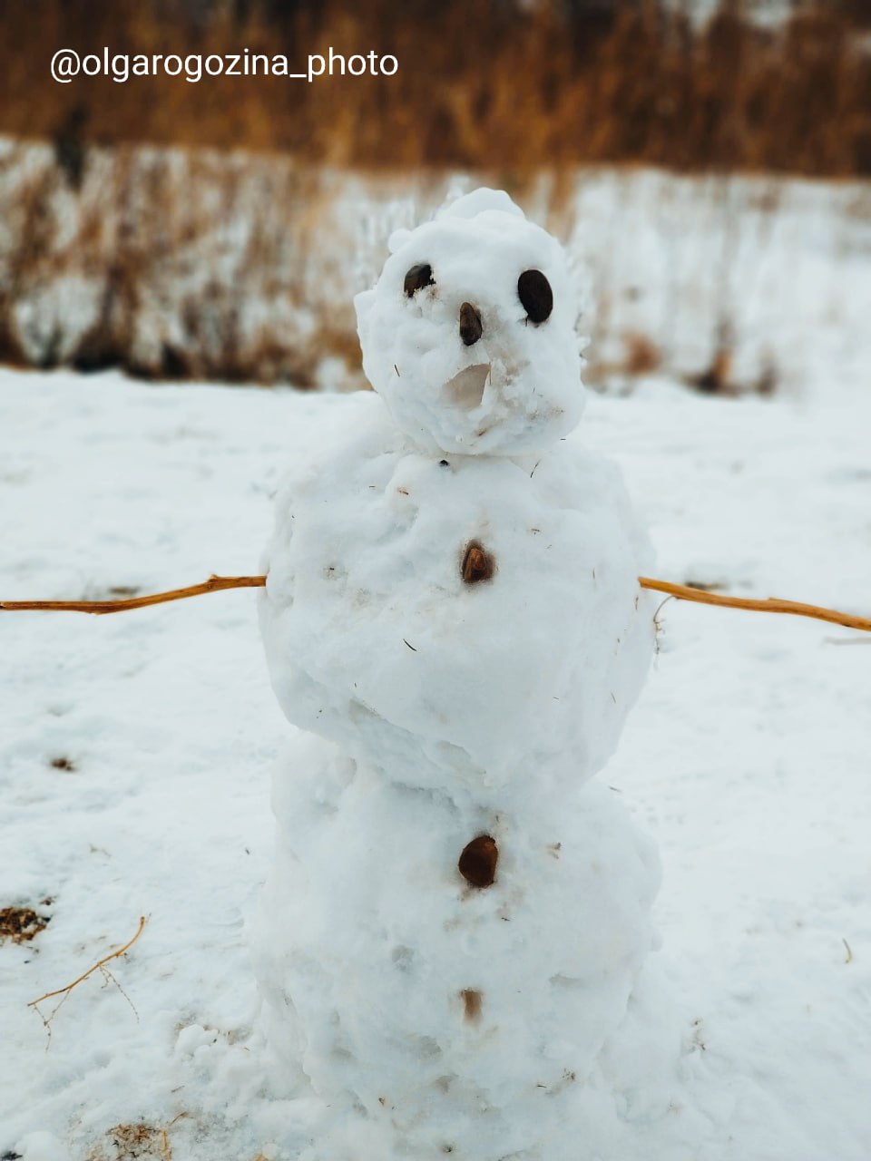 Снеговики в Красноярске на кадрах Ольги Рогозиной Снеговики в Красноярске на кадрах Ольги Рогозиной