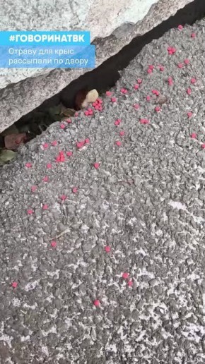 Отраву для крыс раскидали по двору на Ады Лебедевой, 147А