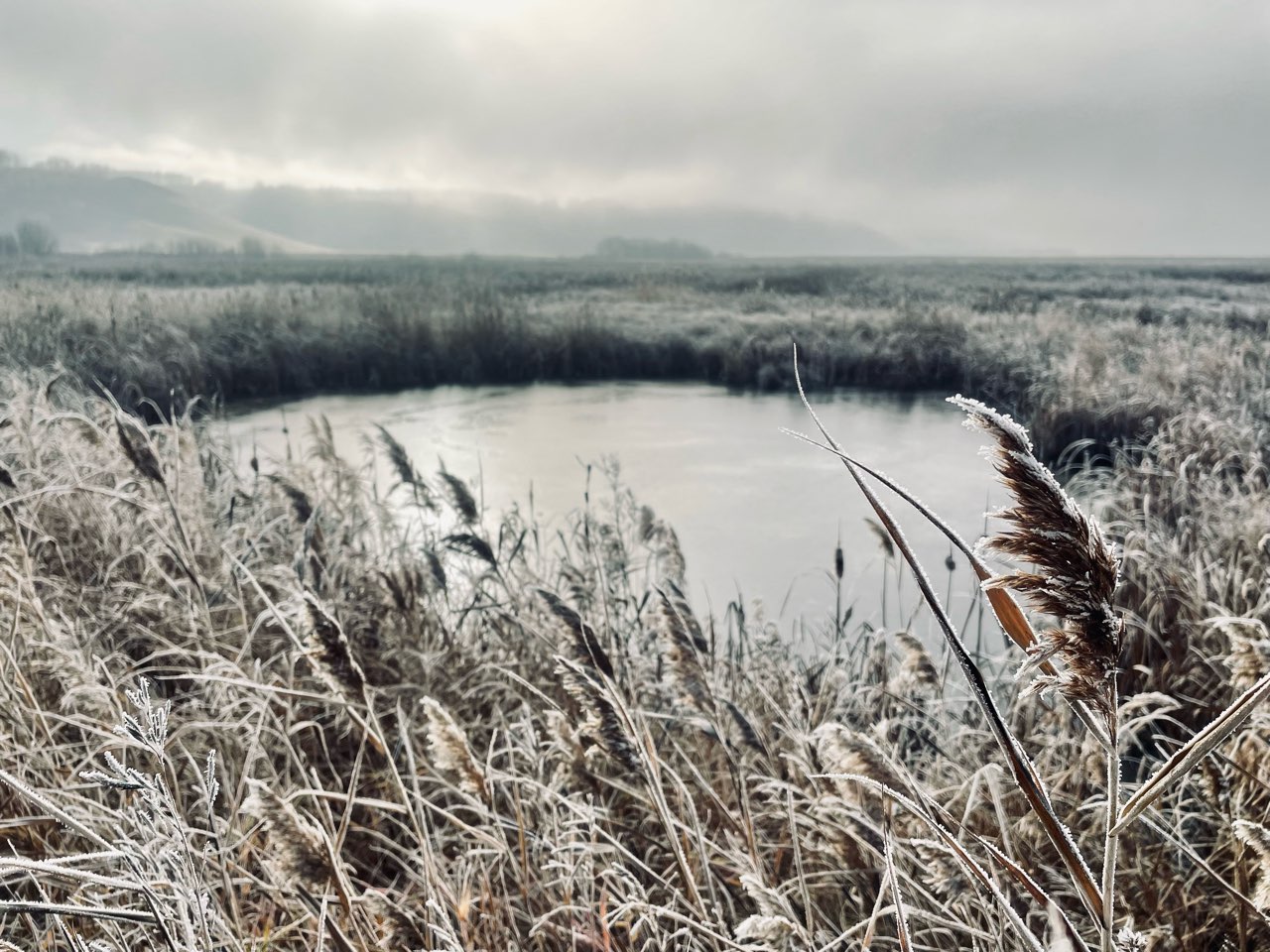В Красноярске сегодня прогнозируют сильный ветер