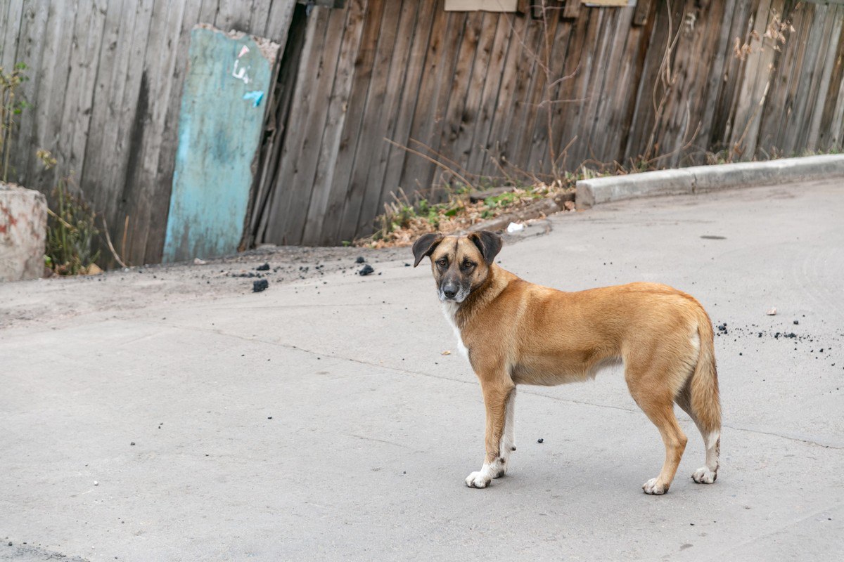 Мужчина подъехал к мусорному контейнеру, чтобы выбросить пакет