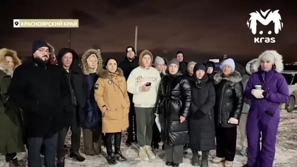 Собаки всё ещё кошмарят деревню Кузнецово, где недавно загрызли 10-летнего мальчика