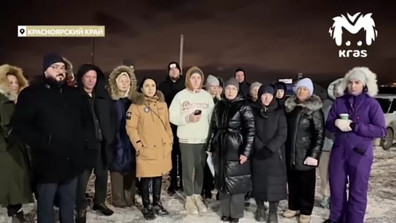 Собаки всё ещё кошмарят деревню Кузнецово, где недавно загрызли 10-летнего мальчика