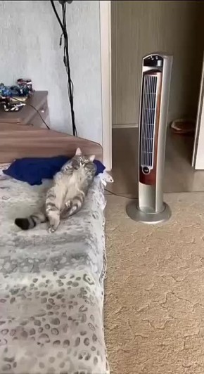 Доброе утро. ТВК