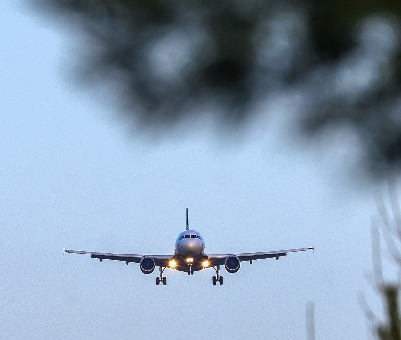 Прямые рейсы из Красноярска в казахстанский Шымкнт запустят 25 декабря