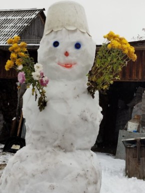 Доброе утро. За фото спасибо подписчику ТВК