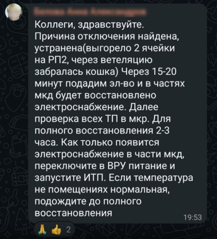 Жители Сосновоборска на вечер остались без электричества из-за кошки