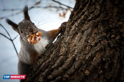 Сегодня — Международный День Белок!